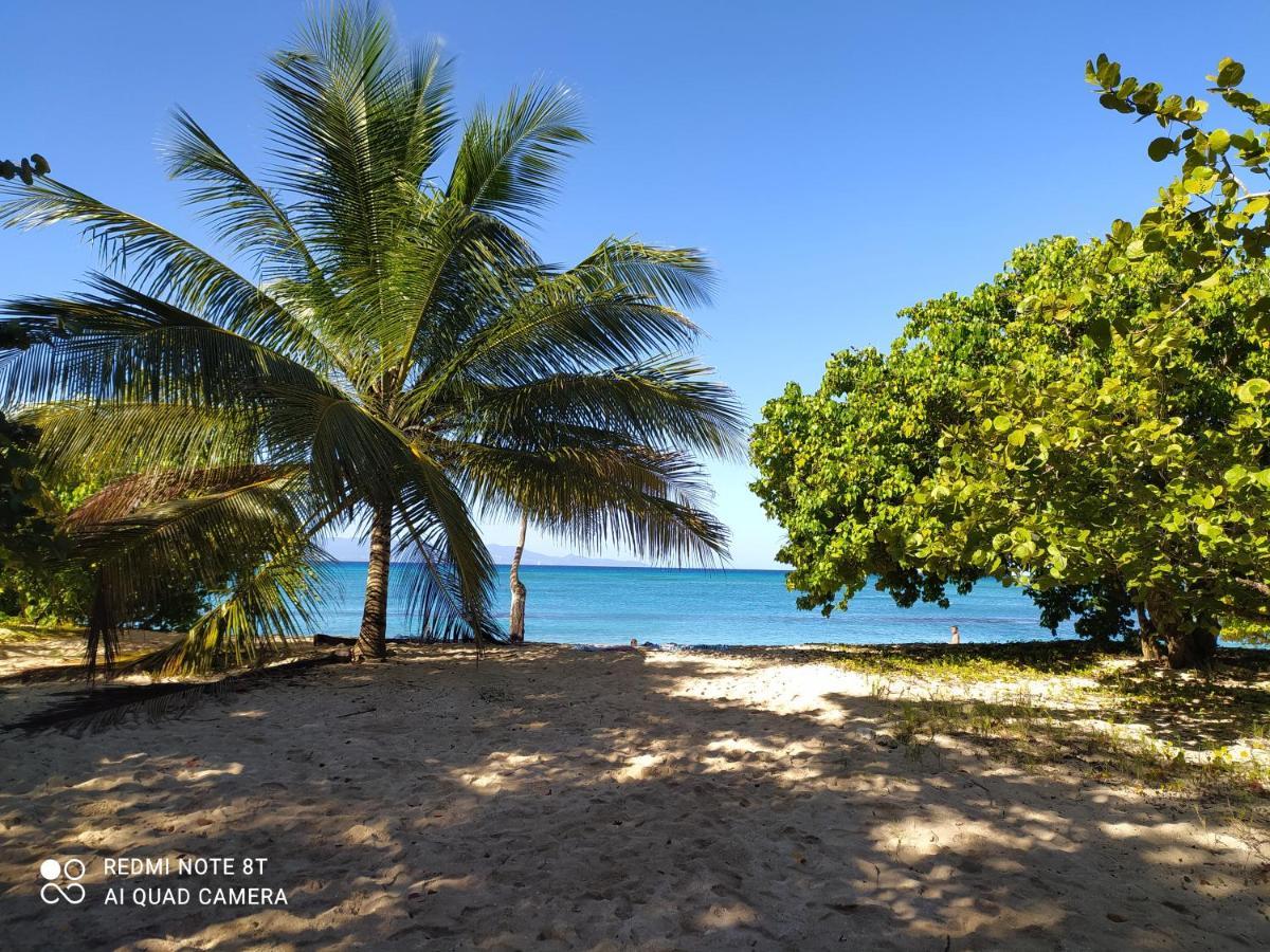 Kaz A Klemence Gite Creole Avec Piscine Et Table Dhotes A Anse Bertrand Exterior photo
