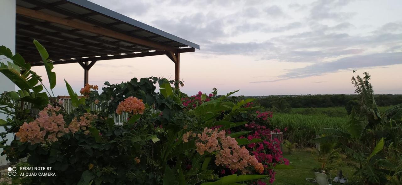 Kaz A Klemence Gite Creole Avec Piscine Et Table Dhotes A Anse Bertrand Exterior photo