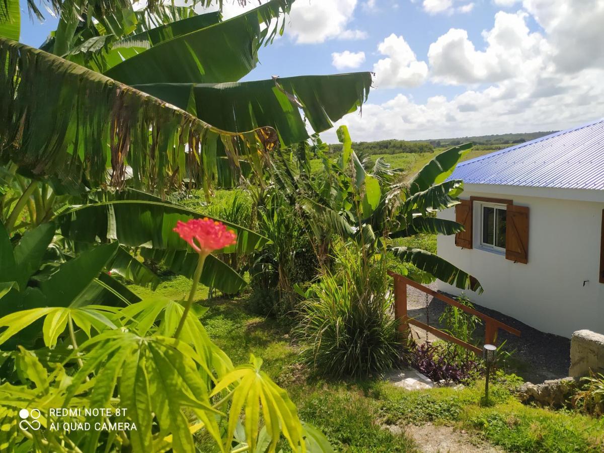 Kaz A Klemence Gite Creole Avec Piscine Et Table Dhotes A Anse Bertrand Exterior photo