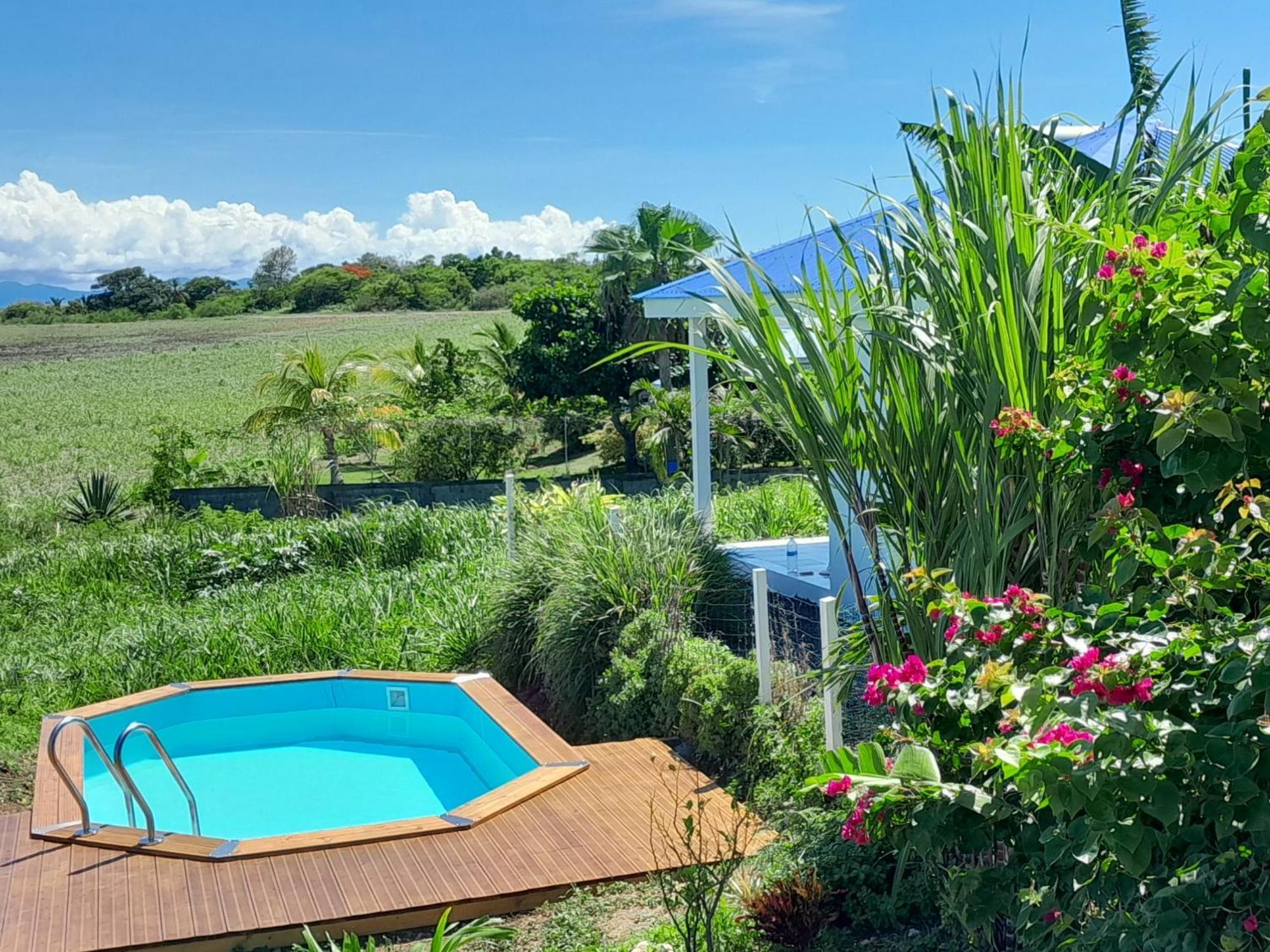 Kaz A Klemence Gite Creole Avec Piscine Et Table Dhotes A Anse Bertrand Exterior photo