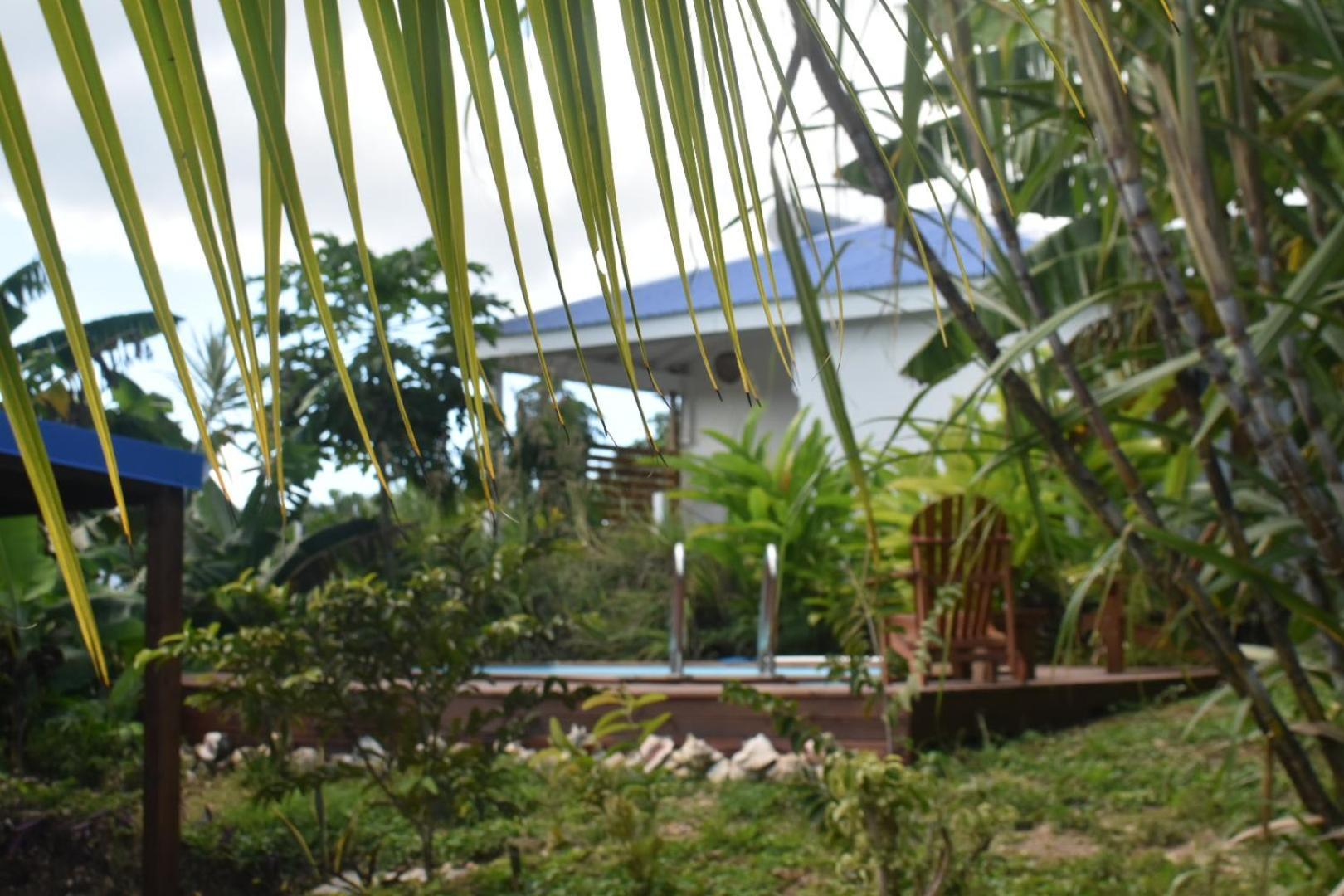Kaz A Klemence Gite Creole Avec Piscine Et Table Dhotes A Anse Bertrand Exterior photo